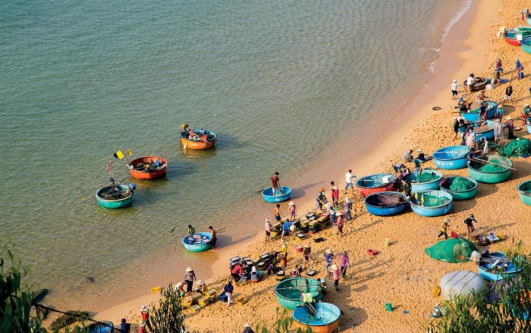 Chợ cá Nhơn Lý buổi sáng